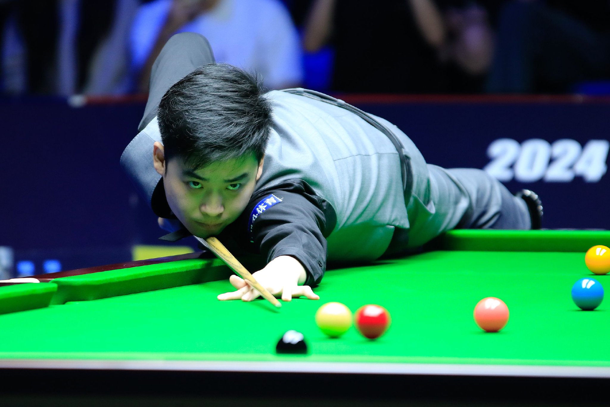 塞鸟这样的 塞鸟这样的